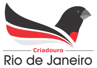 SITE REFORMULADO  | Criadouro Rio de Janeiro - Curió Praia Clássico